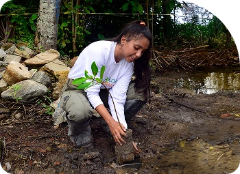 Mulher agachada em um terreno enlameado, plantando uma muda.