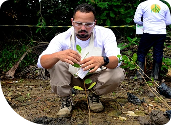 Homem de óculos agachado analisando uma muda de planta.