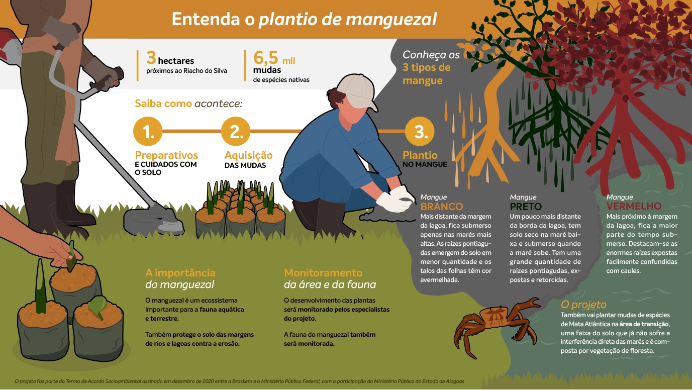 Projeto Aflora Mangue