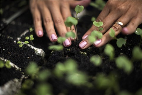 Con el propósito de fomentar la sustentabilidad en toda la cadena, Braskem reconoce a 24 empresas por buenas prácticas en ESG