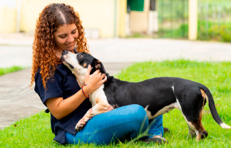 Como adotar um pet de forma responsável com o Programa de Apoio aos Animais