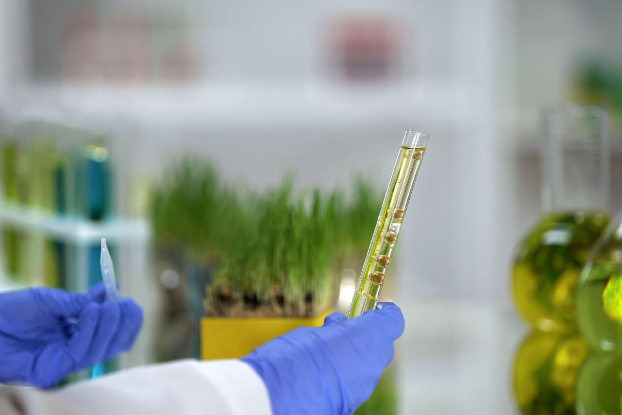 Especial Cop30 - A contribuição da Química Verde nas discussões da COP 30