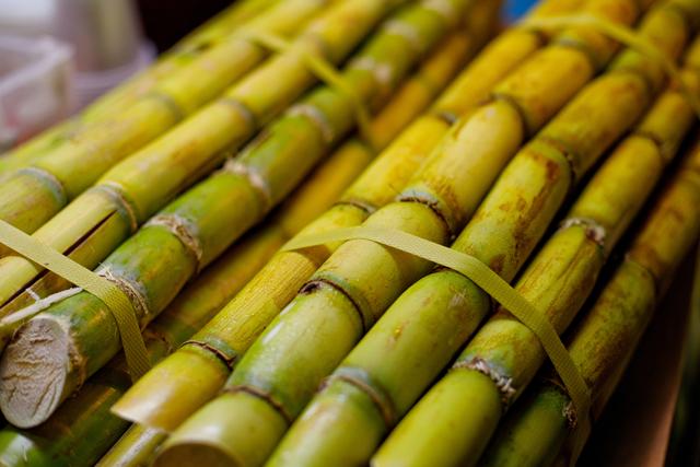 Braskem divulga atualizações de Avaliação de Ciclo de Vida do portfólio I'm greenT bio-based