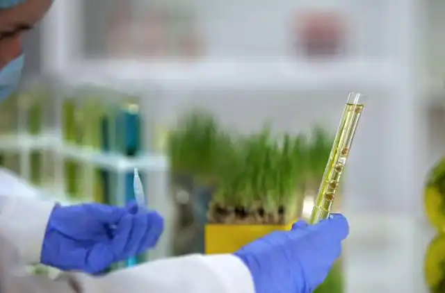 Braskem reforça estratégia global em renováveis com desenvolvimento de tecnologia para bioacetona