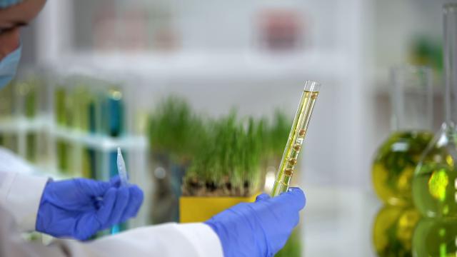 Braskem Strengthens Its Global Renewables Strategy with the Development of Bioacetone Technology