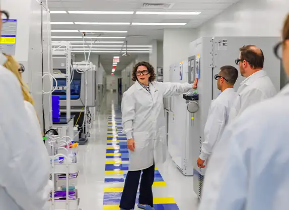 Unidade Triunfo PE Verde